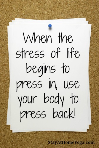 The Off Switch for Stress